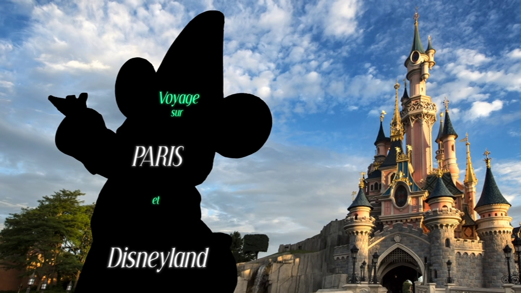 icône DisneylandFévrier2017