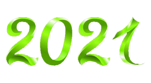 Logo Année 2021