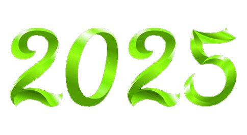 Logo Année 2025
